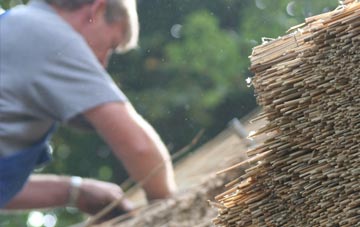 professional East Ayton thatchers